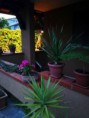 /album/villa-il-gelsomino/img-20180606-211958-jpg/